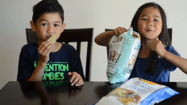 Lays Potato Chips Taste Test 2015