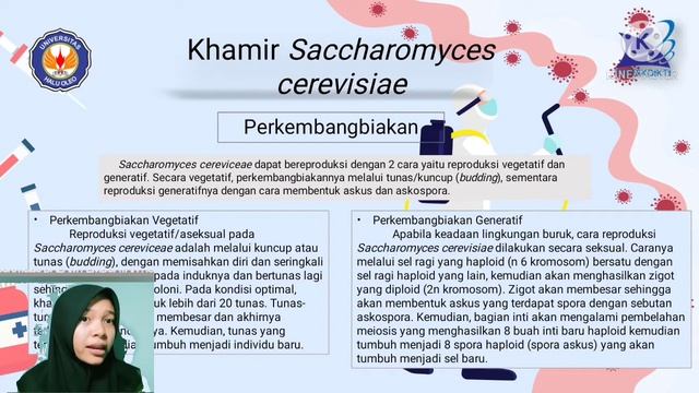 PERAN Saccharomyces Cerevisiae DALAM PEMBUATAN ROTI
