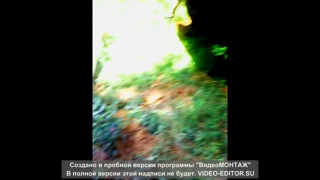 деревенские экспедиции лесные дары часть 1 смотреть онлайн