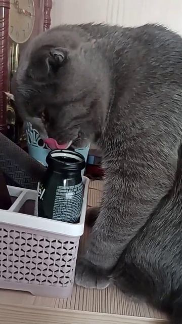 Йогурт на завтрак смотреть онлайн