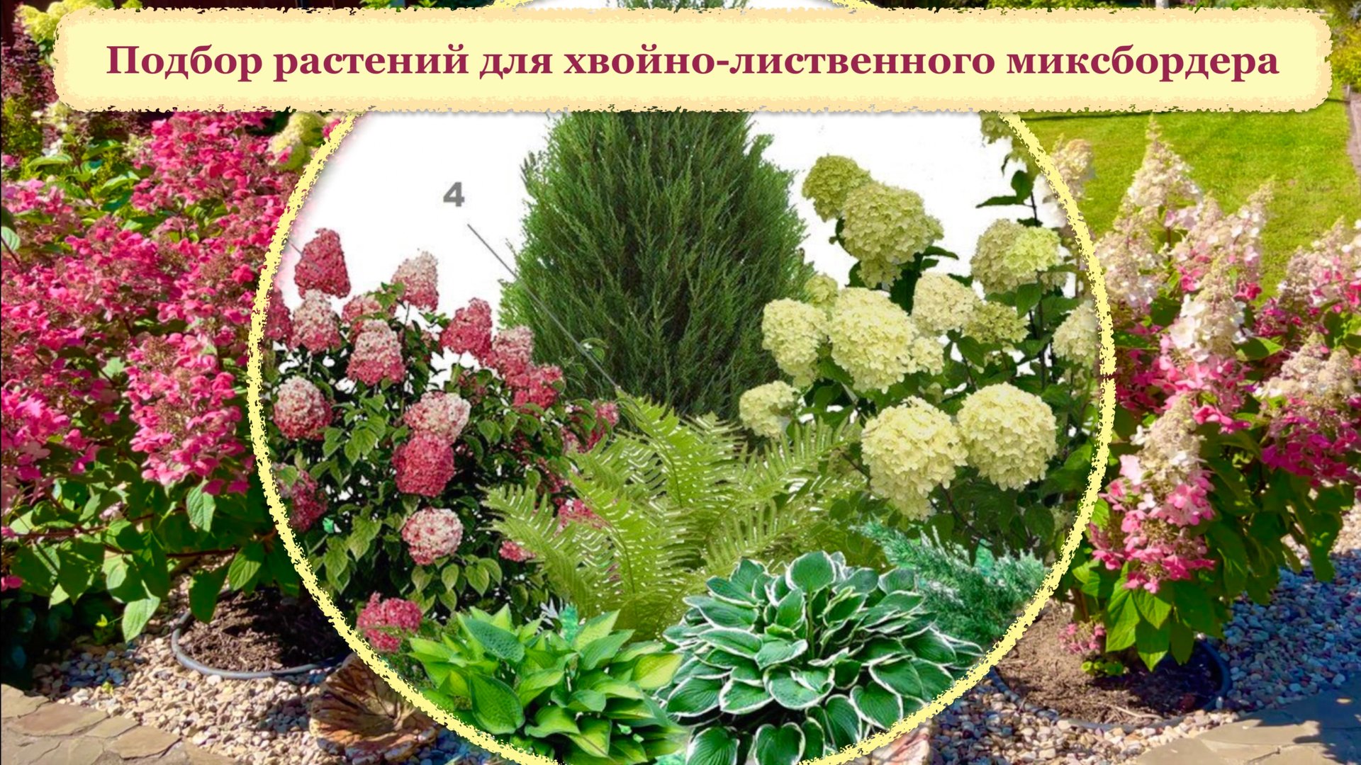 Односторонний хвойно-лиственный миксбордер. Подбор растений на основе готовой схемы. смотреть онлайн