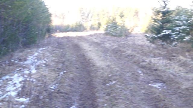 КАРАЙ С ЗАЙЦЕМ смотреть онлайн