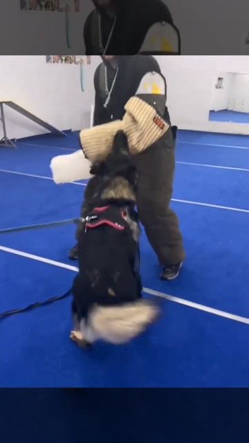 Готовим "немца" к экзаменам по АПС. смотреть онлайн