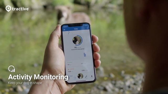 Tractive GPS 4 for Dogs смотреть онлайн