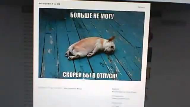 мой контакт смотреть онлайн