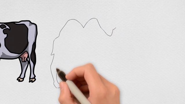 Mari Menggambar Sapi & Unta Bersama sama - Lets Drawing Together #15 смотреть онлайн