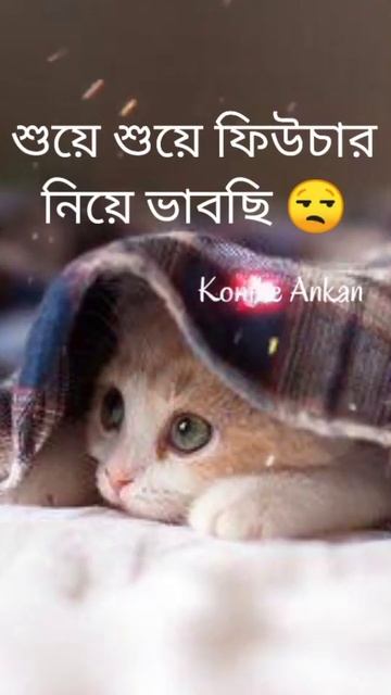 funney bangla status😂😂/whatsapp bangla status/cat😒/bengali quotes #shorts #cat #youtubeshorts смотреть онлайн