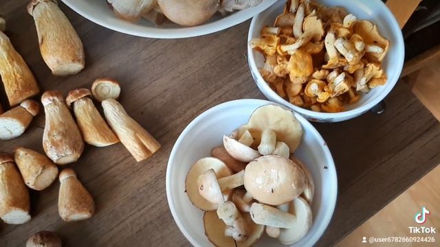 Сколько собрали грибов смотреть онлайн