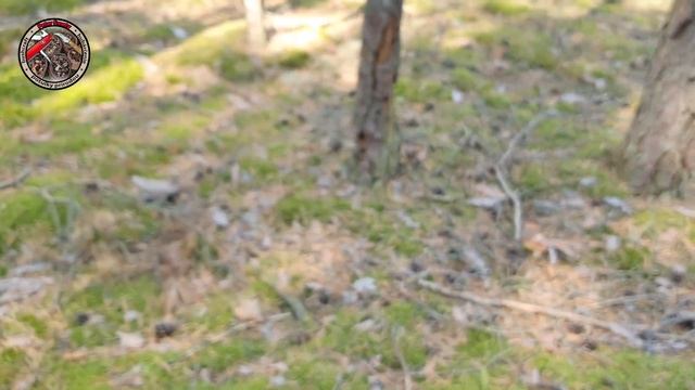 NÁDHERNÉ hríby smrekové 28 KUSOV miesto na huby houby grzyby смотреть онлайн