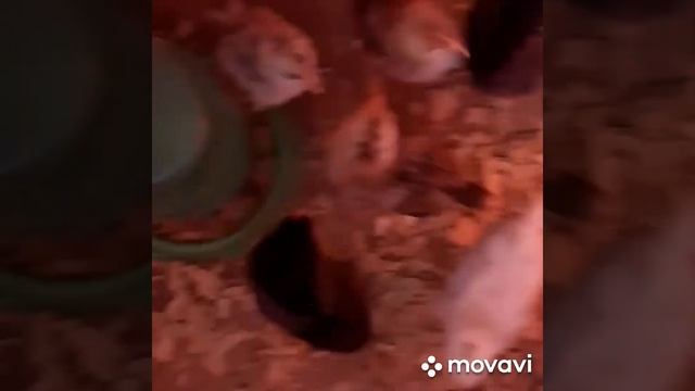 Татьянин день, опять весна