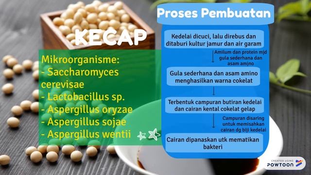 Biologi Kelas 9: Bioteknologi смотреть онлайн