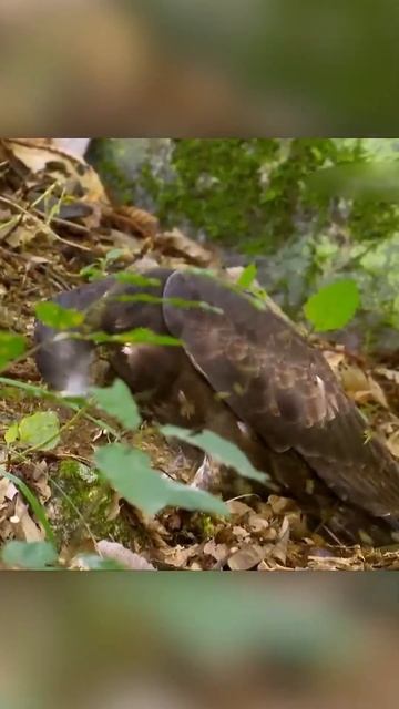 Подписывайся на ТГ, ссылка в канале) смотреть онлайн