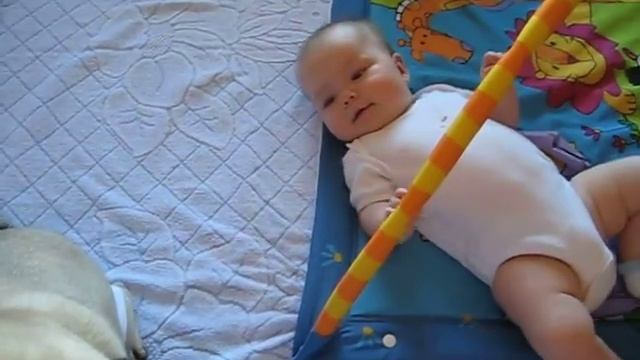 Мия София... Мия и Хоня смотреть онлайн