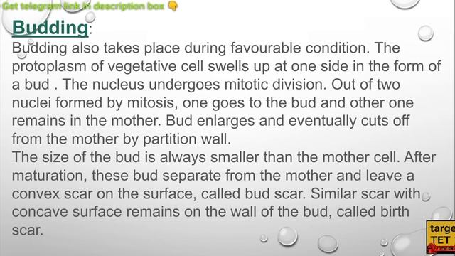TGT biology,fungi - saccharomyces смотреть онлайн