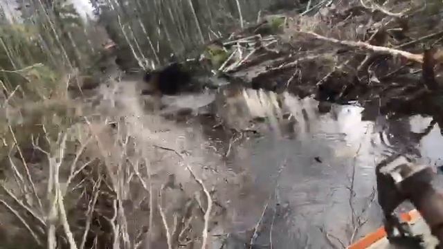 МТЛБ  Погнали напролом через лес.