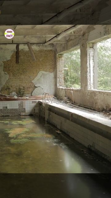 Tunguska event 🤯💥 #shorts #youtubeshorts #asteroid #spacefacts #spacevideo смотреть онлайн