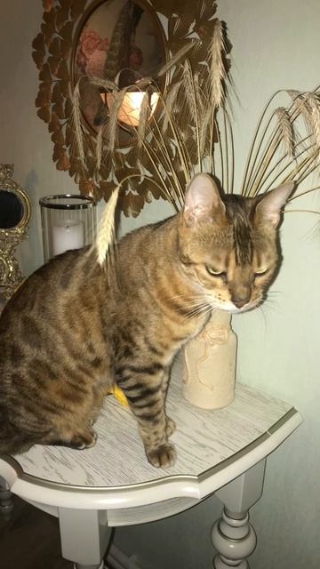 Шум на кухне😁анекдот от кожаного. смотреть онлайн