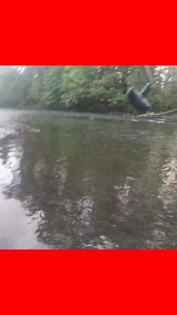 CRAZY FISHING DAY OVER 30 SALMON #short смотреть онлайн