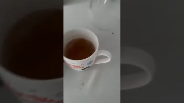 Кружкалар,чайник смотреть онлайн