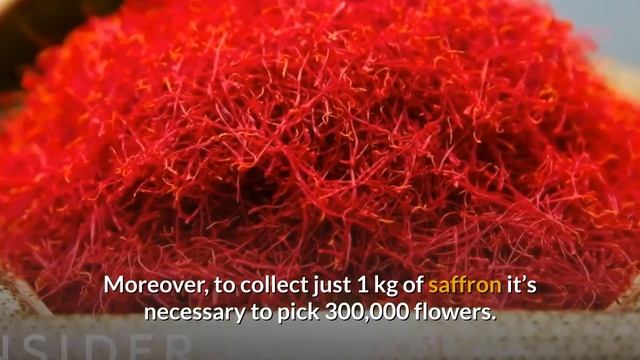 Top 11 Most Expensive Foods in the World смотреть онлайн
