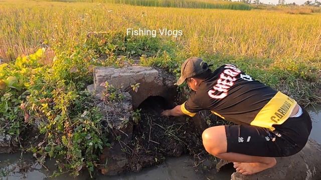 QUYEN FISHING160 The young man caught a fish in the sewer n ran away when he met the king crocodile смотреть онлайн