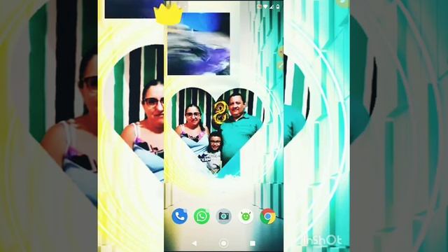 vida dos meus passarinhos 👍 смотреть онлайн