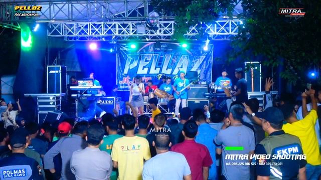 PELLAZ MUSIC - MADU TIGA-ANANDA - WEDDING ARIS & AMELIA - AJS AUDIO