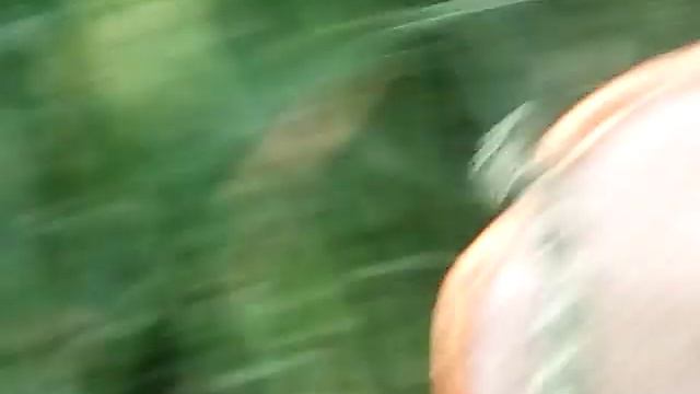 Собирали грибы у дороги