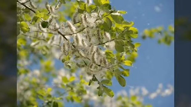 Сказочный закат смотреть онлайн
