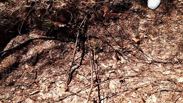 Сок собираю. часть 1 18 + смотреть онлайн