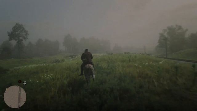 When ARTHUR Rides this ZEBRA.... WEIRD REACTION 😶🌫️ смотреть онлайн
