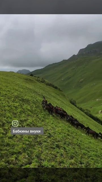 Самая красивая дорога в России