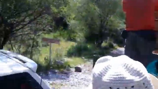 Лесовоз везёт нас в верх смотреть онлайн