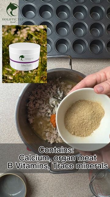Homemade Cat Food with Holistic Vet Blend #shorts смотреть онлайн