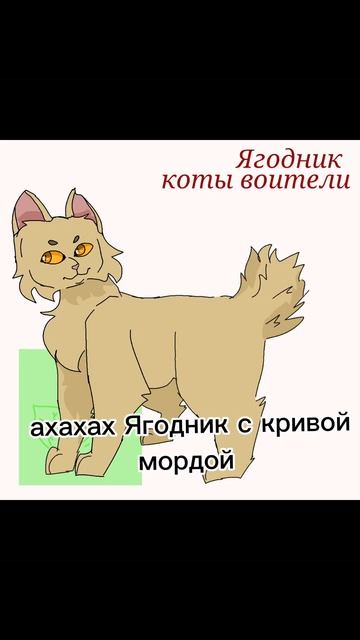 коты воители мои старые рисунки в ibis Paint X #котывоители #warriorcats #кв #остролистая #горелый смотреть онлайн