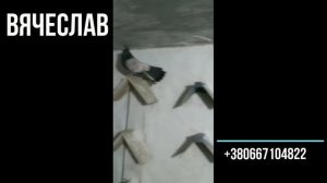 Кировоградские сиреневые голуби