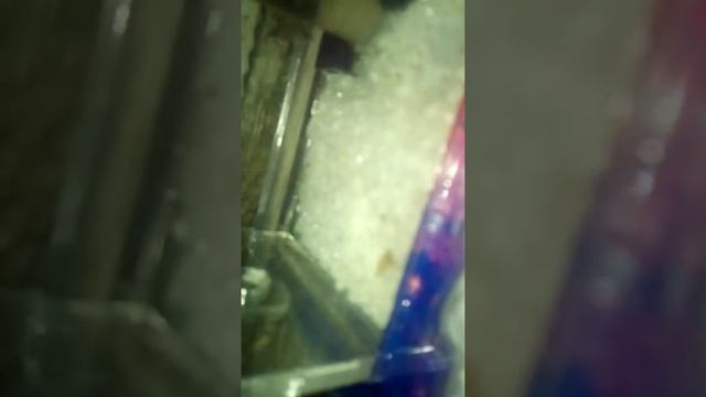 #3 серия про муравьёв смотреть онлайн