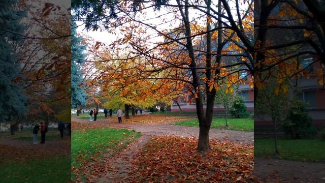 Так хочется к тебе... смотреть онлайн