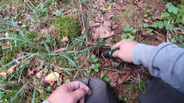 Metallinpaljastimen kanssa metsässä, mitä löytyy? смотреть онлайн