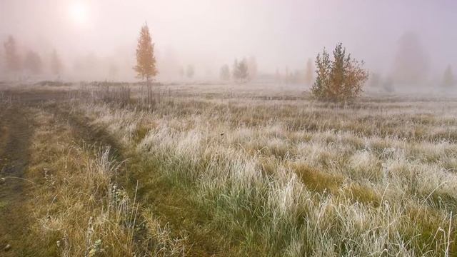 Поэтический календарь. Михаил Лермонтов