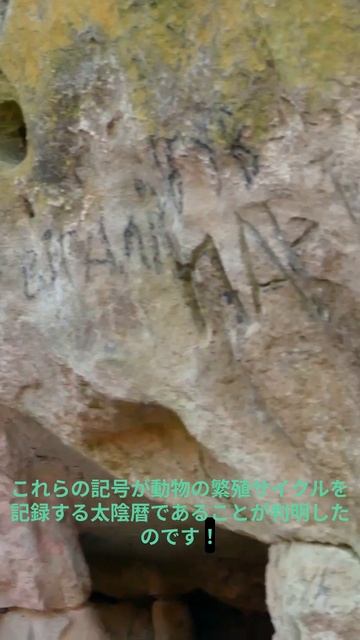 😲【解読】氷河期の人類が残した洞窟壁画の謎の記号、ついに判明！最古の文字システムは太陰暦だった！？ #考古学 #洞窟壁画 #文字システム #太陰暦 #氷河期 смотреть онлайн