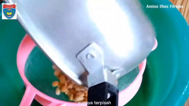 Pembuatan Tempe|| Memenuhi Tugas Dalam Materi Bioproses 🙌