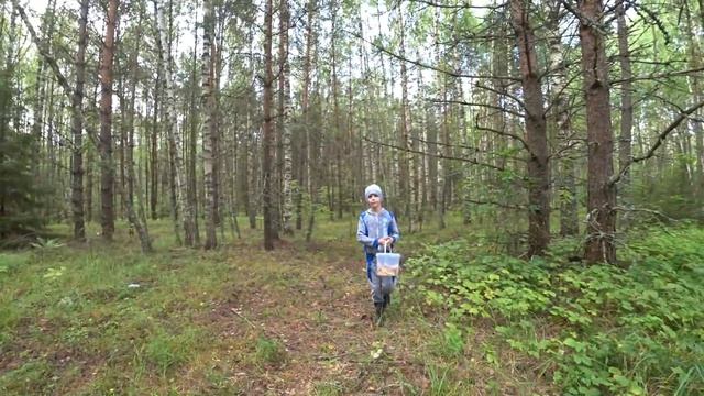 УДАЧНАЯ ПОЕЗДКА ЗА ГРИБАМИ! смотреть онлайн