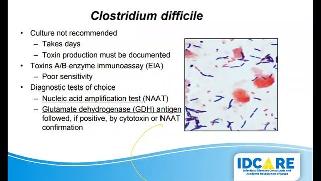 Microbiology for the ID Specialist смотреть онлайн