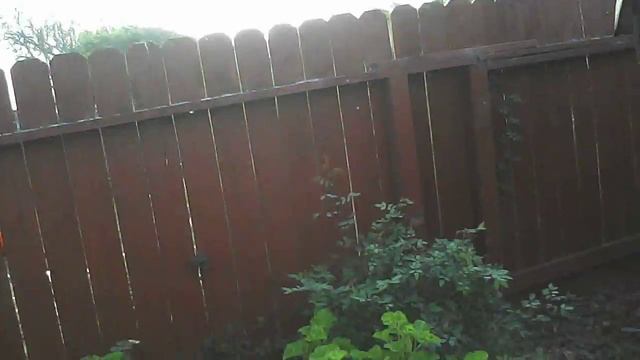 First flight of Syma X5SC drone outdoors смотреть онлайн