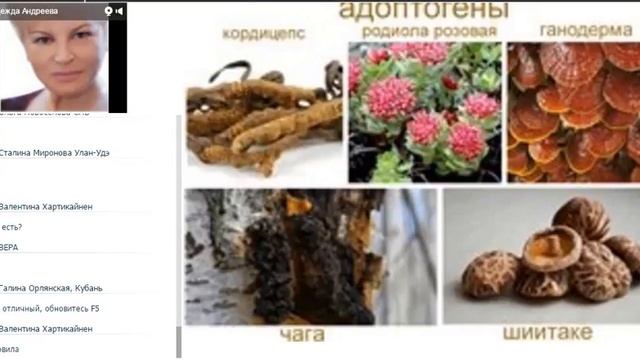 Школа врача Н.И.Андреевой о продукте ELEV8 смотреть онлайн