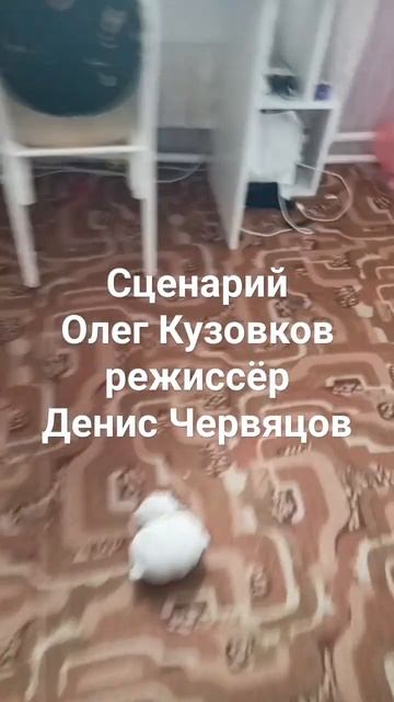 сценарий Олег Кузовков режиссёр Денис Червяцов смотреть онлайн