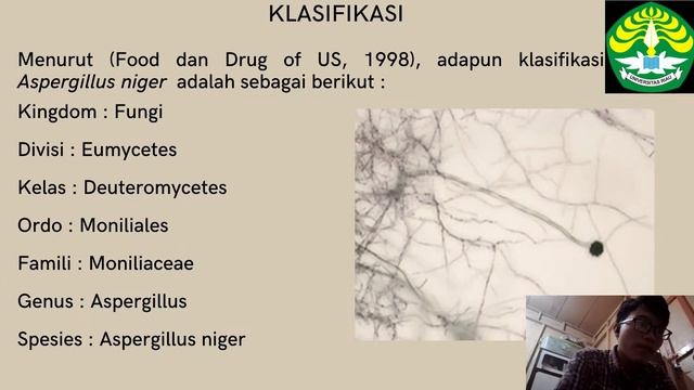 FUNGI LAUT ASPERGILLUS NIGER смотреть онлайн