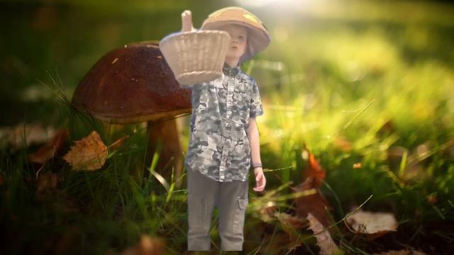 Стихи про грибы😂