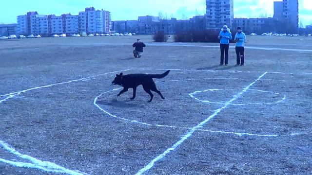 Архангельская Ольга и метисы Джерри и Лота DREAM GAMES Фестиваль Pitch&Go 05.04.15 смотреть онлайн